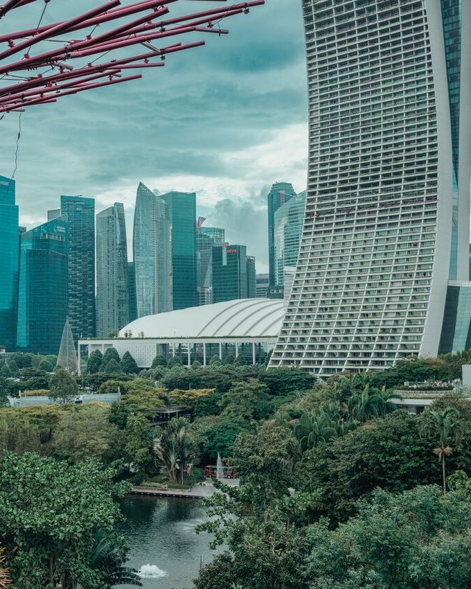 Singapore towers rising above the trees of Gardens by the Bay