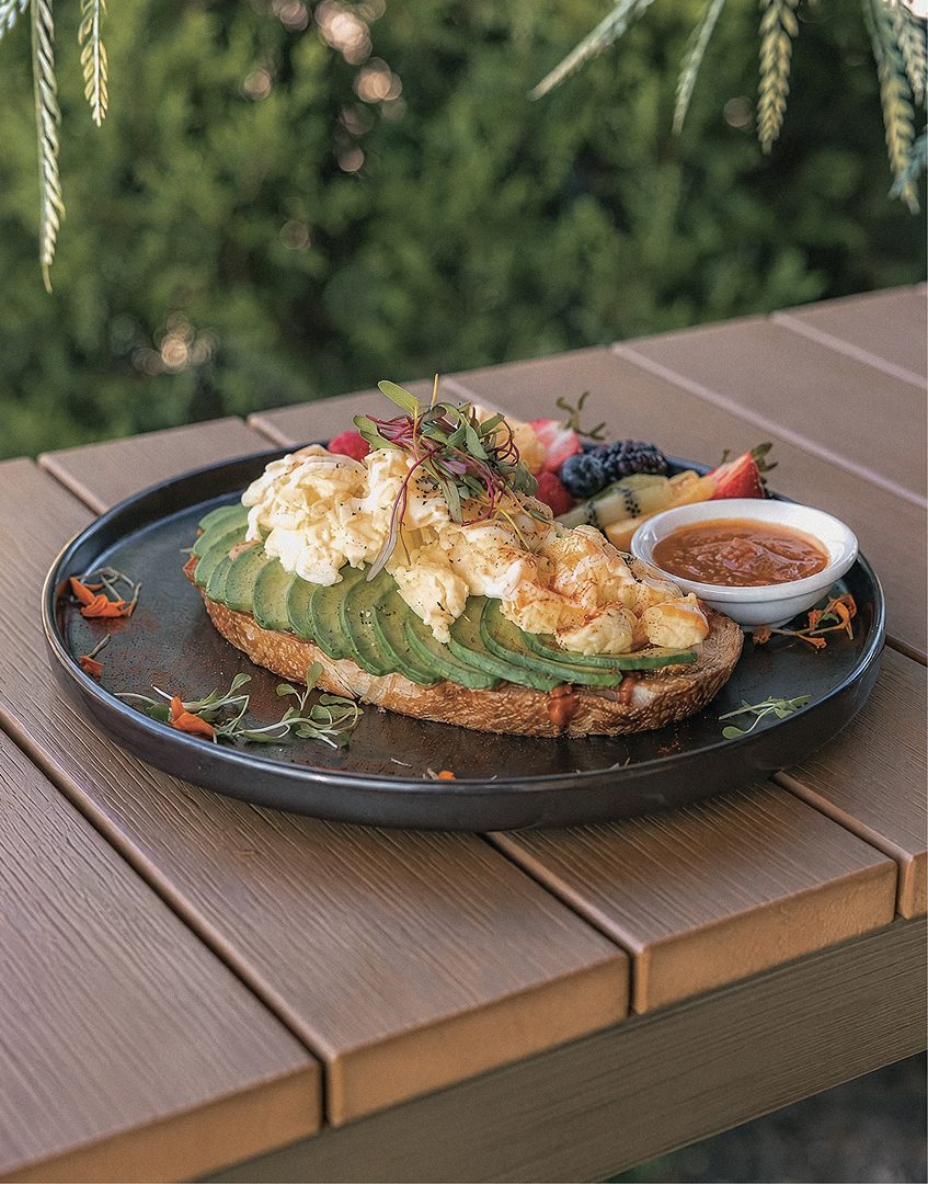 A shared lunch in the garden