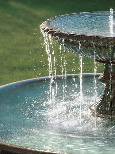 Water falling over stone beneath living green