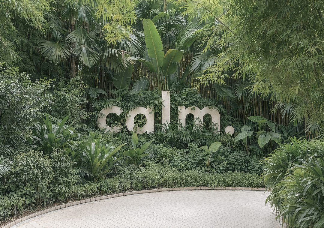 The garden at CALM. Indonesia seen through dappled shade