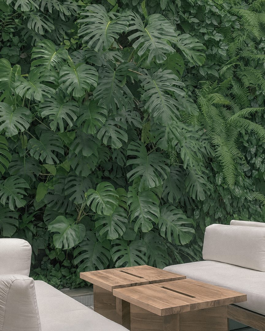The walled garden in South Jakarta, with mature trees and layered planting